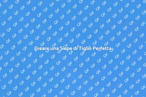 Progettare Siepe di Tiglio in Giardino