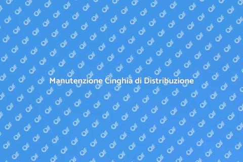 Cinghia di Distribuzione: Manutenzione Auto