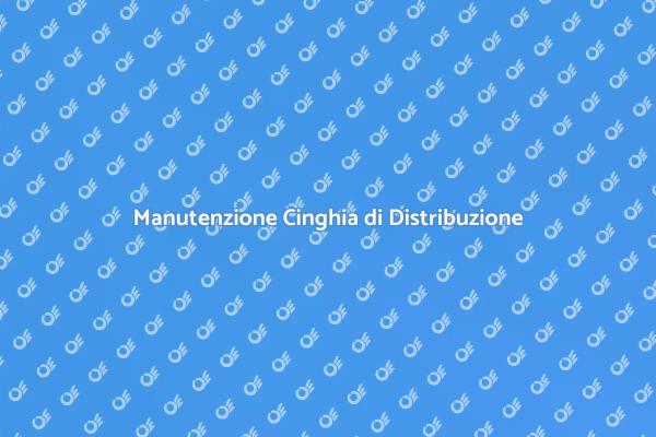 Cinghia di Distribuzione: Fai Attenzione!