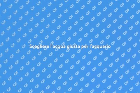 Acqua perfetta per il tuo acquario