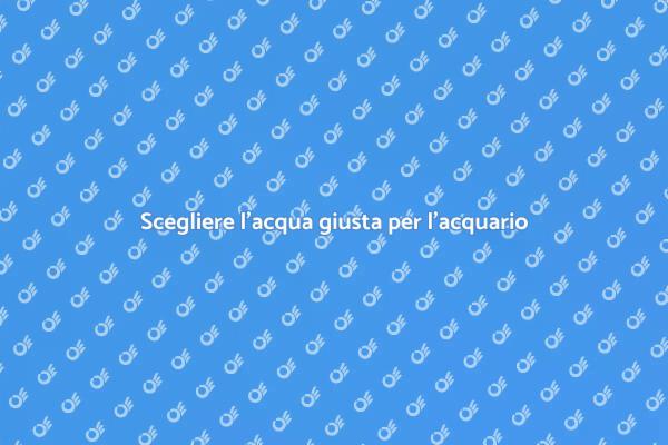 L'importanza dell'acqua nell'acquario