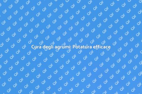 Potatura agrumi: Consigli utili