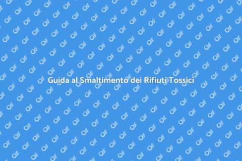 Smaltimento Rifiuti Tossici Responsabile
