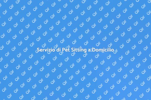 Pet Sitting: Cura e Comfort a Casa