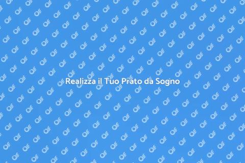 Prato Curato: Crea il Tuo Paradiso