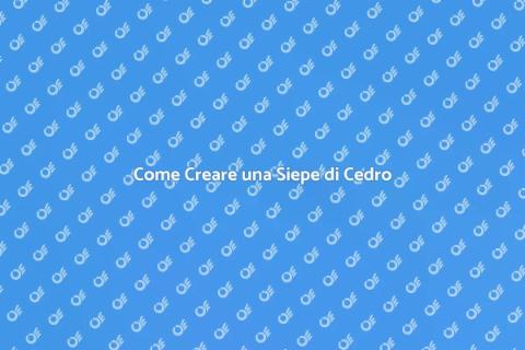 Siepe di Cedro: Guida per il Giardino