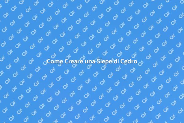La Tua Siepe di Cedro Perfetta