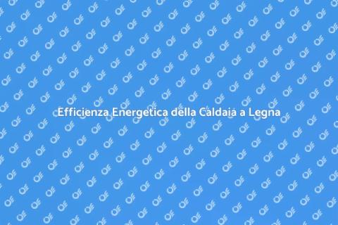 Controllo Efficienza Energetica Caldaia