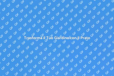 Posare il Prato: Guida Completa