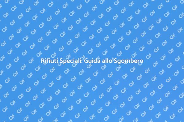 Sgombero e Rifiuti: Cosa Sapere