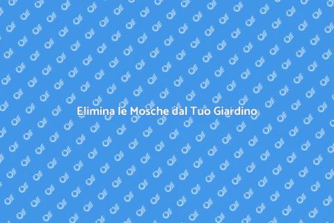 Disinfestazione Mosche Esterne Guida