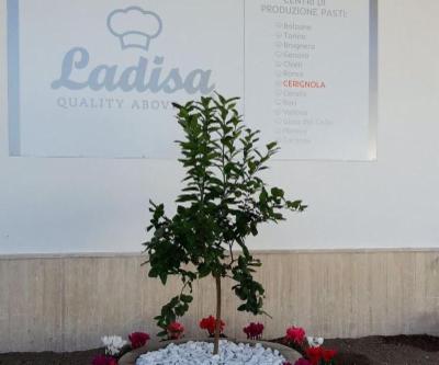 Caterino  - Foto 5