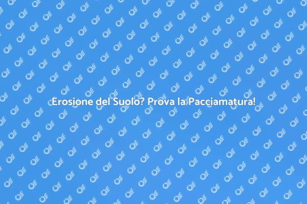 Pacciamatura: Proteggi il Tuo Suolo