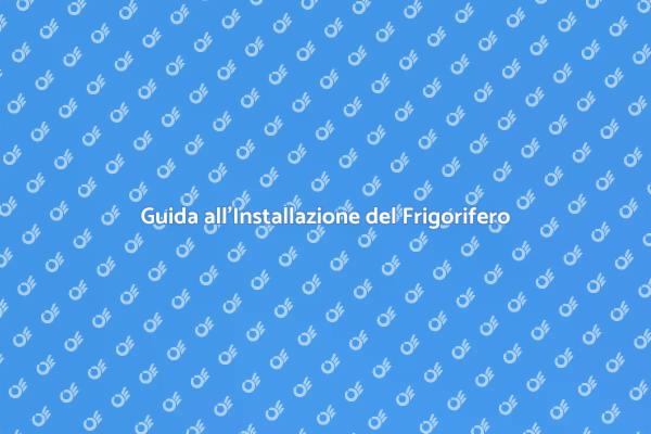 Installazione Facile di Frigorifero Combinato