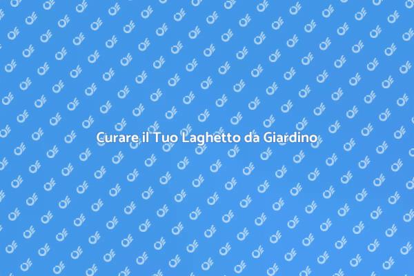 Manutenzione per Laghetti da Giardino