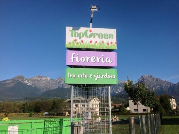Fioreria Vivaio Top Green  - Foto 7