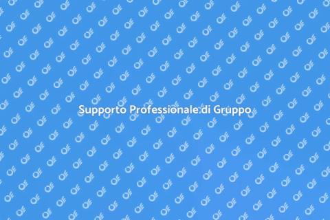 Consulenza di Gruppo con Ernesto.it