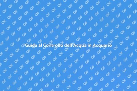 Controllo Acqua Acquario: Guida Essenziale
