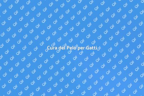 Brushing Professionale per Gatti