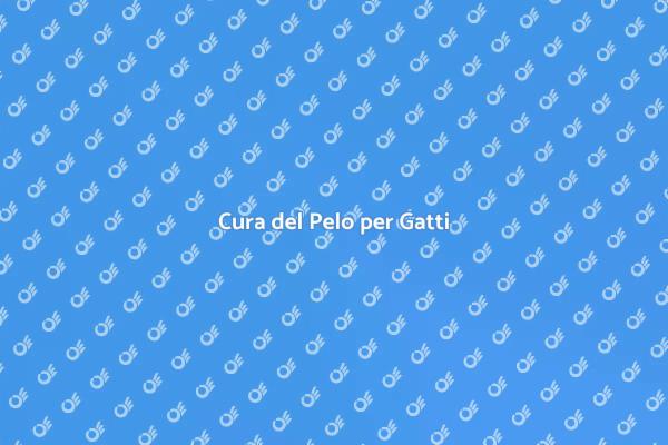 Brushing Professionale per il Tuo Gatto