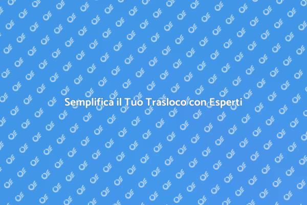 Affidati a un Traslocatore Esperto