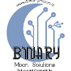 Binary Moon Solutions