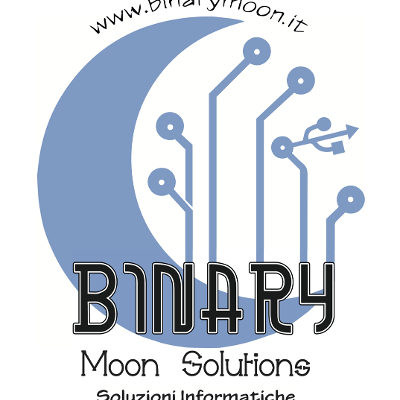 Binary Moon Solutions