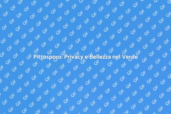Pittosporo: Il Tuo Giardino Sempreverde