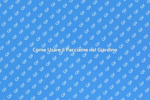 Pacciame: Guida al Recapito Efficace