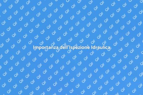 Ispezione Idraulica Completa Essenziale
