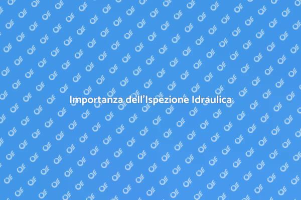 Perché Fare un'Ispezione Idraulica?