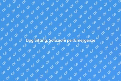 Dog Sitting in Emergenza: Scopri di più