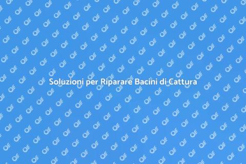 Riparazione Bacino di Cattura Efficace