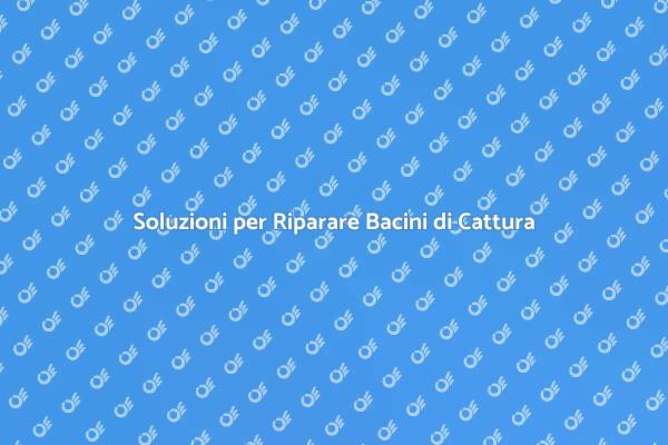 Riparazioni Efficaci per Bacini di Cattura