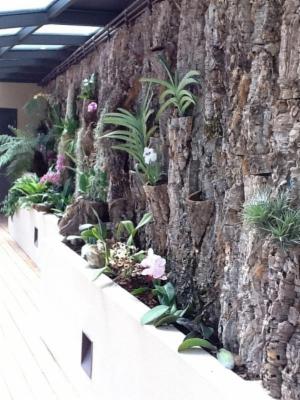 Blugarden  - Foto 4