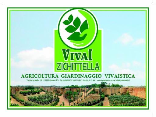 VIVAI ZICHITTELLA - Foto 1