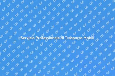 Trasporto e Deposito Mobili Efficace