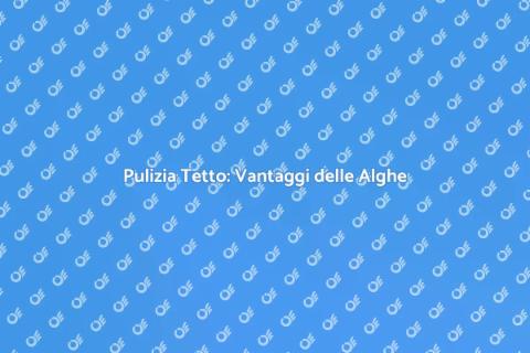 Pulire un Tetto con Alghe: Guida Pratica