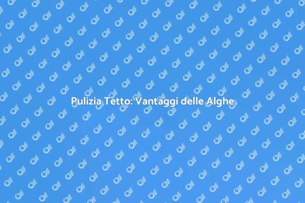 Come Pulire il Tetto con Alghe Efficacemente
