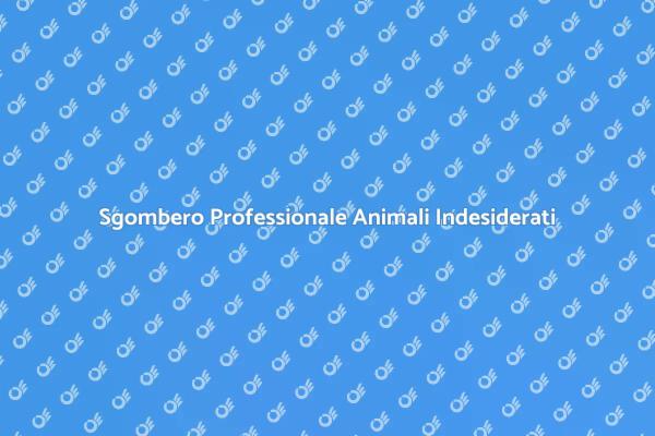 Proteggi la Tua Casa da Animali Indesiderati
