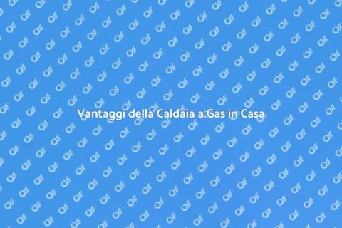 Caldaia a Gas: Comfort e Efficienza