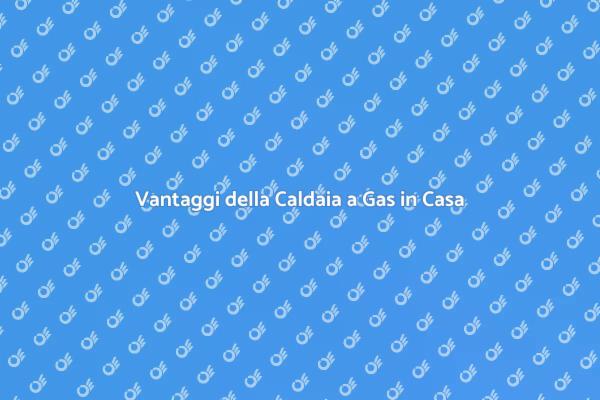 Caldaia a Gas: Un Investimento Sostenibile
