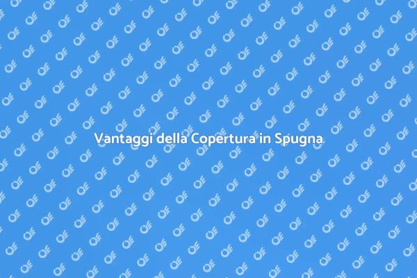 Proteggi i Tuoi Spazi con la Spugna