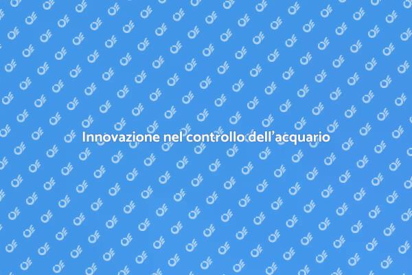 Creare un acquario sano e vibrante