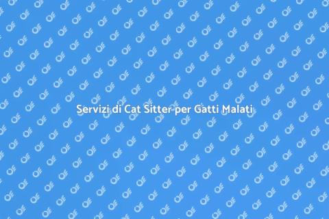 Cat Sitter Esperto per Gatti Malati