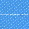 Costruire Cucine in Cartongesso: Ecco Come