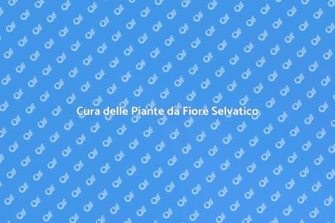 Manutenzione Piante da Fiore Selvatico