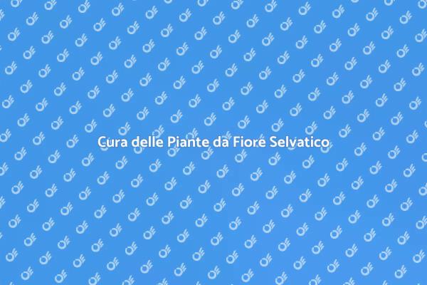 Manutenzione delle Piante Fiorite