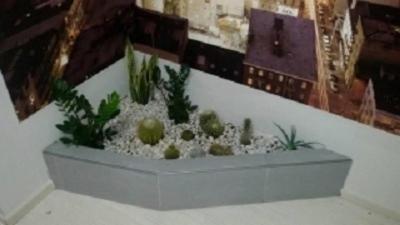 Vivai Pandolfino  - Foto 6