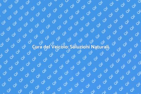 Pulizia Veicolo con Prodotti Naturali